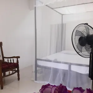 /
